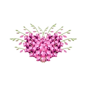 Heart Orchid Feeder